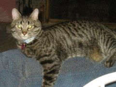 A Personal Touch Cleaning & Restoration Image