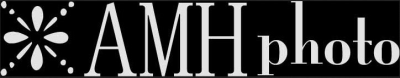 AMH Photo Logo