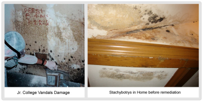 Protective Environmental Engineering Services Inc Image