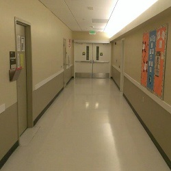 Your Chandler Painter – Painting Contractor AZ Image