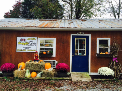 Doggie Stylz By Karrie Image