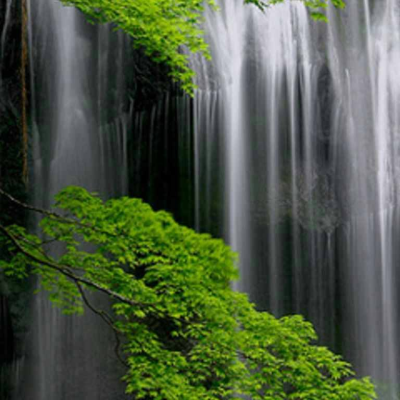 Tranquility Medical Spa Logo