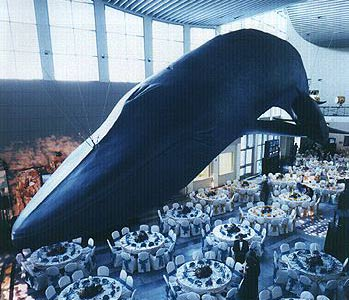 Bravo Productions Image