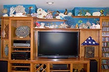 Top Quality Improvers Image