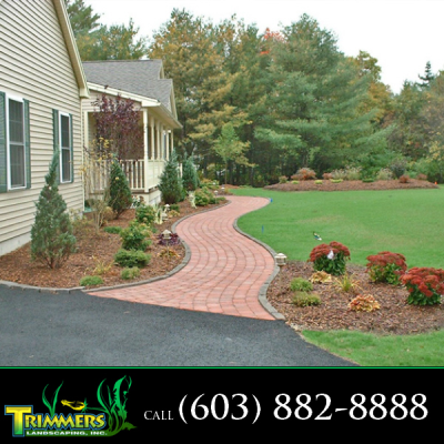 Trimmers Landscaping, Inc. Logo
