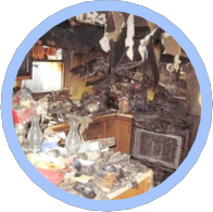 Precision Restoration Services Image