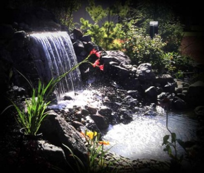 Cutting Edge Landscape &amp; Design Inc. Logo