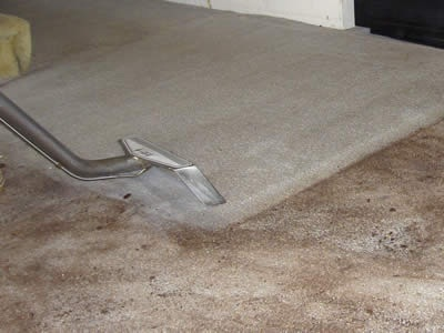 Glendale Carpet Cleaners - Carpet Cleaning Pros Logo