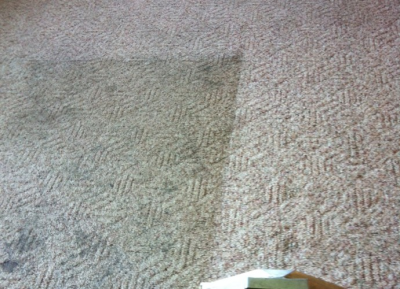 Bi-State Carpet & Upholstery Cleaning Image