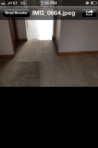 Bi-State Carpet & Upholstery Cleaning Image