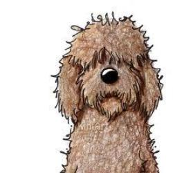 DoodleDee Goldendoodles Logo