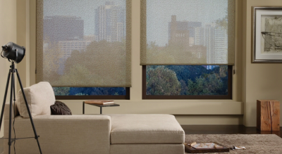 The Blind Spot Image