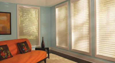 The Blind Spot Image