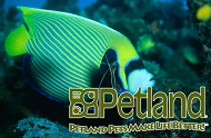 Petland Overland Park Logo