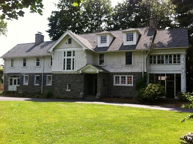 CS Liga Painting Image