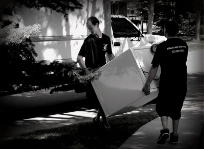 Stallion Moving Image