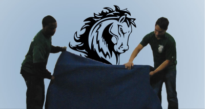 Stallion Moving Image