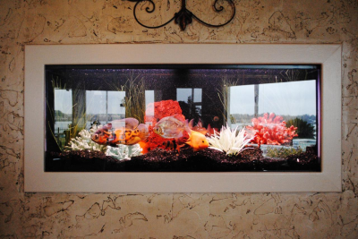 Aquarium Tank Maintenance Image