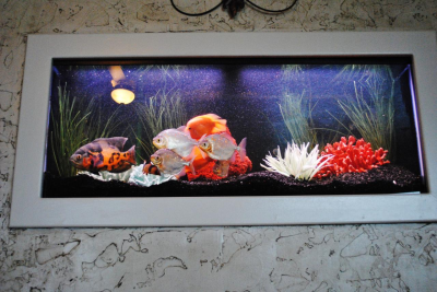 Aquarium Tank Maintenance Image