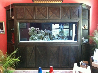 Aquarium Tank Maintenance Image