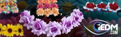 iEDM Image