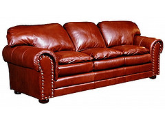 Arizona Leather Company Logo