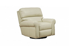 Arizona Leather Company Image