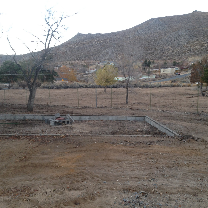 Battle Born Tree Service Image