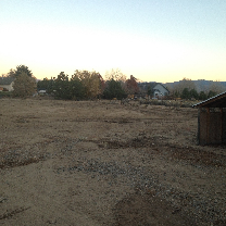 Battle Born Tree Service Image