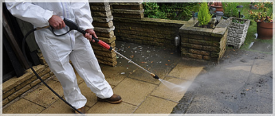 Halcyon Painting Image