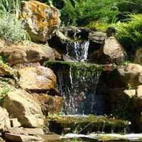 Valley Vegas Landscaping Image