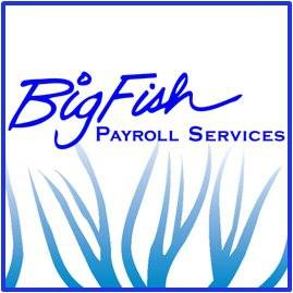 Big Fish Payroll Services Image