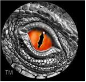 Yon-Kur Shatarr LLC dba Steel Dragon Jewelry Image