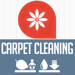 Carpet Cleaning Springfield Logo