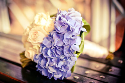 Bay Photo Studio Logo