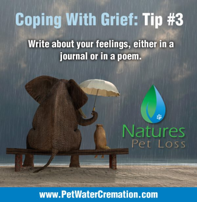 Natures Pet Loss Image