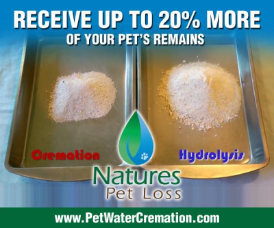 Natures Pet Loss Image