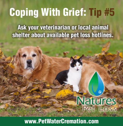 Natures Pet Loss Image