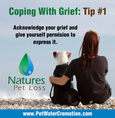 Natures Pet Loss Image
