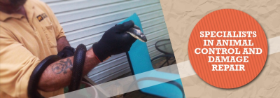 The Wildlife Pro's Image