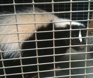 The Wildlife Pro's Image