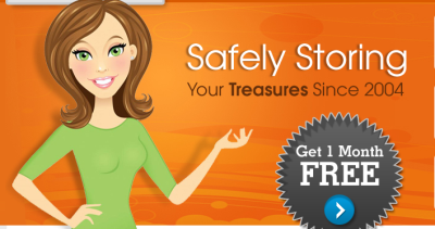 Amy's Attic Self Storage Logo