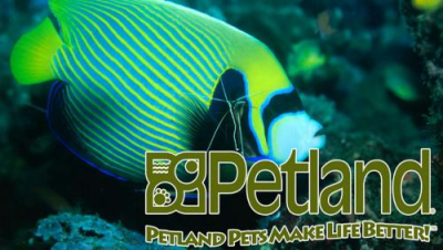 Petland Batavia Logo