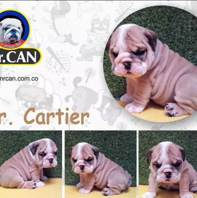 Mr. Can Imports USA Image