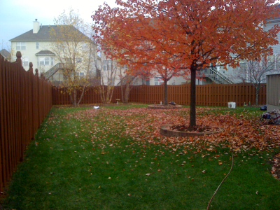 Threadgill's Painting & Restoration Inc Image