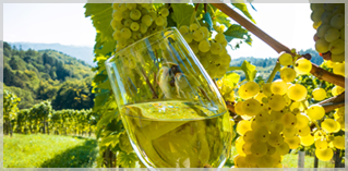 Main Street Airport Express Image