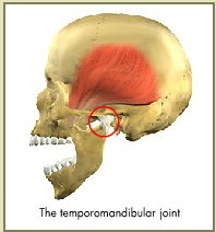 Jason H Shook DDS Image
