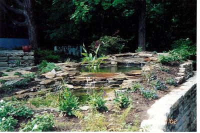 Dapper Landscape & Design Image