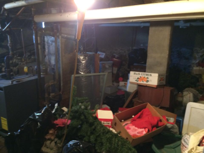 Dan's Rubbish Removal Image