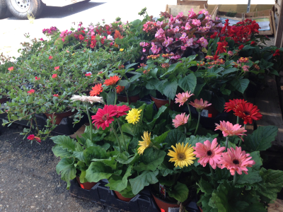 Farmers Friend Feed, Seed & Supply, LLC Image